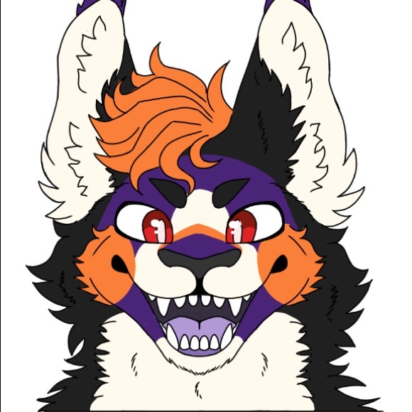 dixenjackal